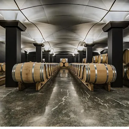 Luxury Castle Panoramic Vineyard View Appartement