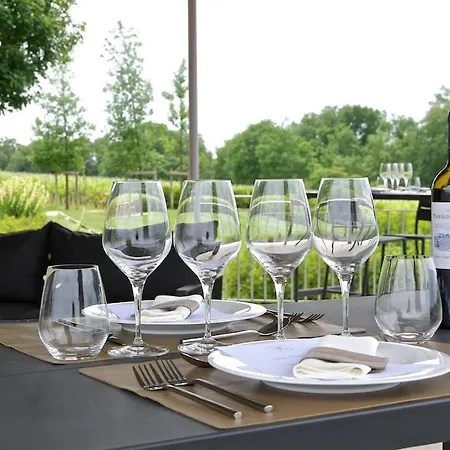 Daire Luxury Castle Panoramic Vineyard View *